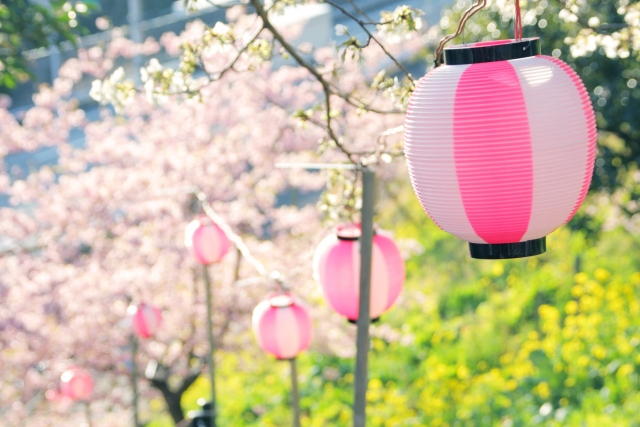 桜まつり（狭山市）