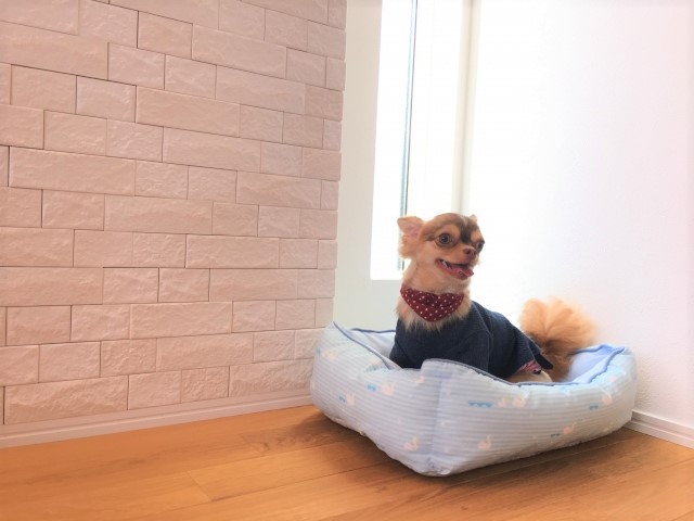 エコカラットとは？