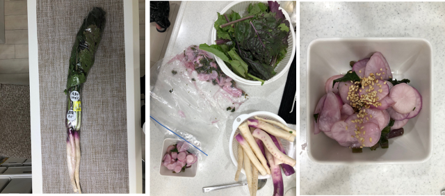 ＜日野菜をゲット＞