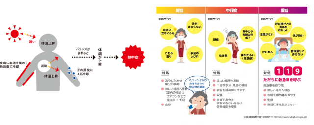 ＜  熱中症は恐ろしい！＞